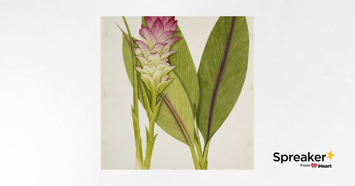 Show 145: The Christian Herbalist Guild, Potato Salad and Turmeric