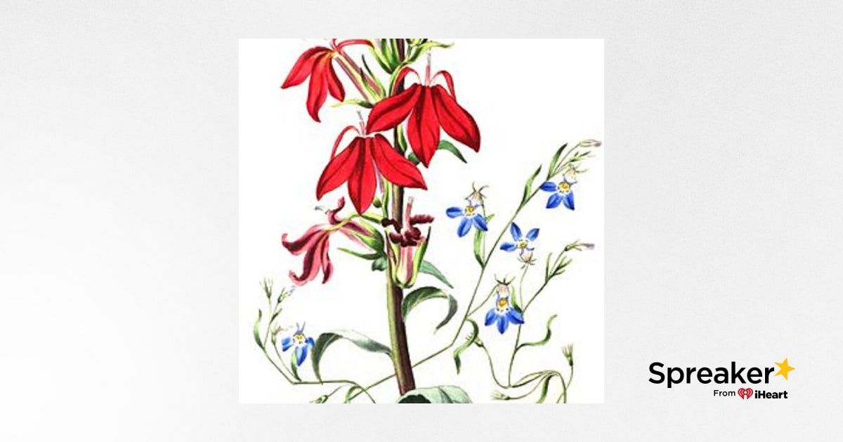 Show 58: Antibiotic Herbs and Lung Herbs