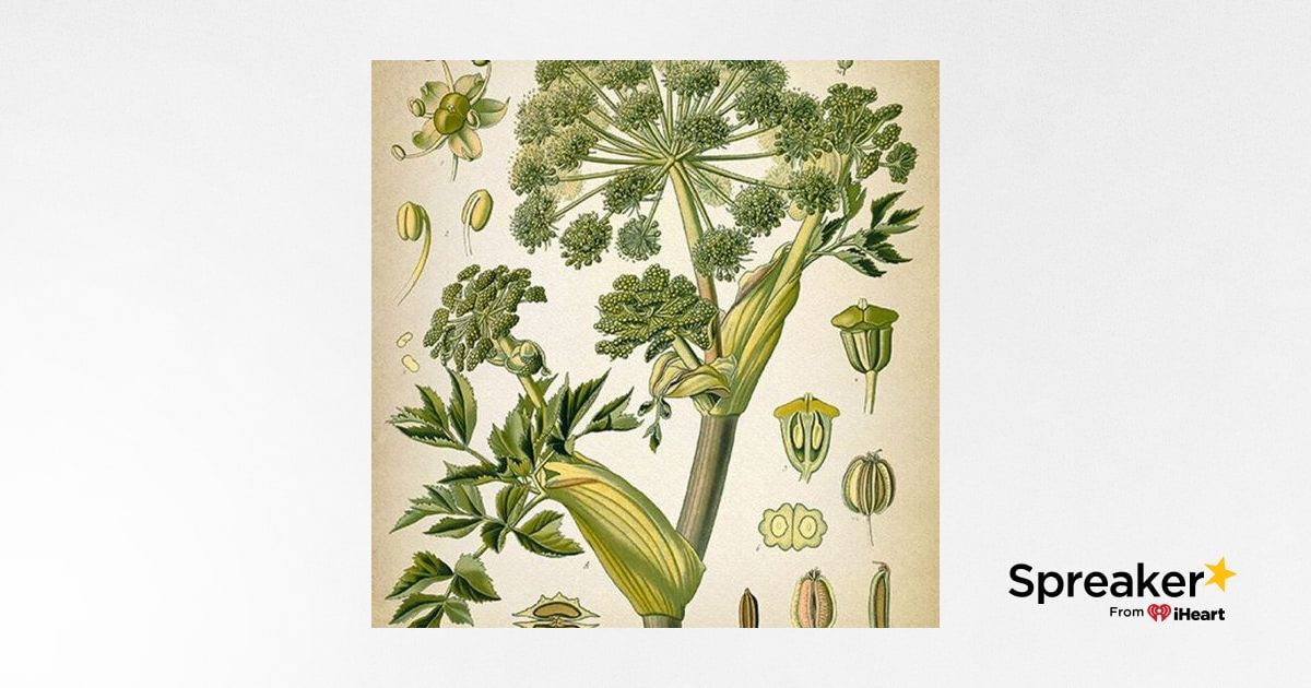Show 78: Finding the Herbal Tradition That Works for You and Angelica