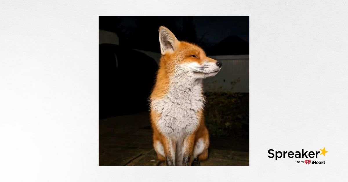 CONTES SOBRE ANIMALS DE LA PENÍNSULA IBÉRICA EN VALENCIÀ