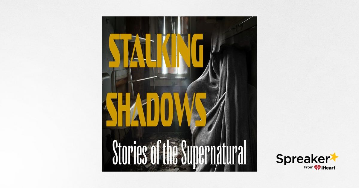 Stalking Shadows | Interview with Debi Chestnut | Podcast