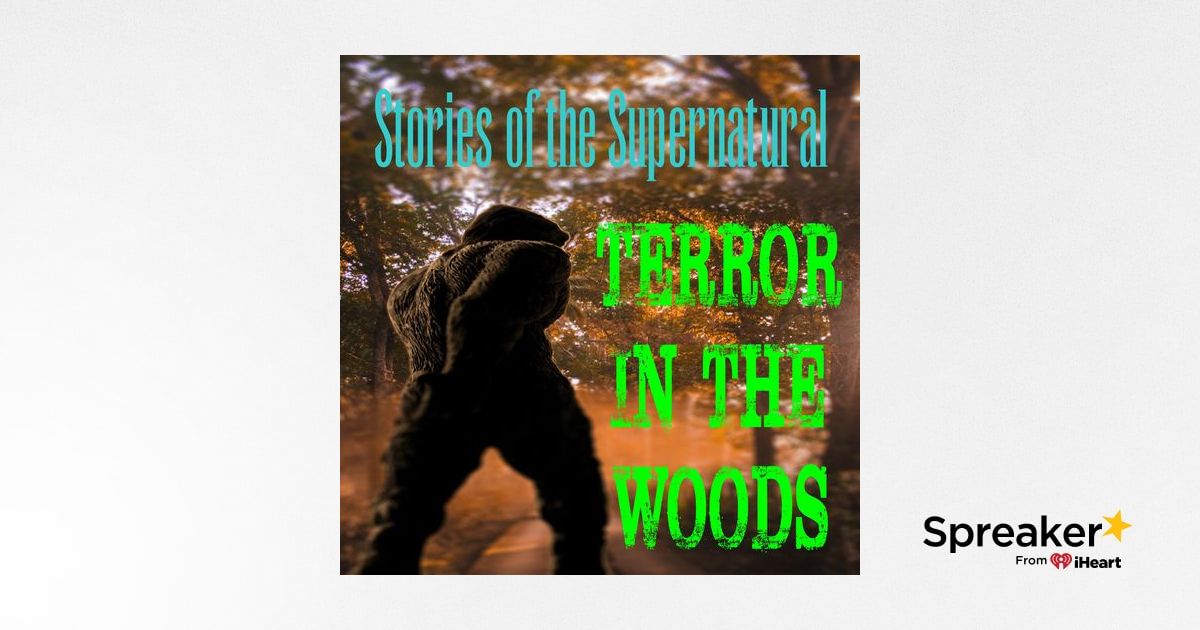 Terror in the Woods | Interview with WJ Sheehan | Podcast