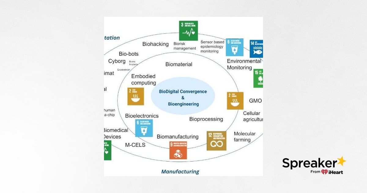 Sabrina Wallace, the Global Information Grid, and Electromagnetic Warfare