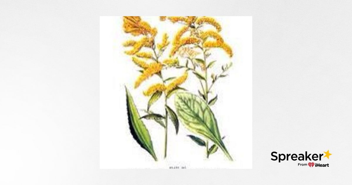 Show 103: Stock and Goldenrod