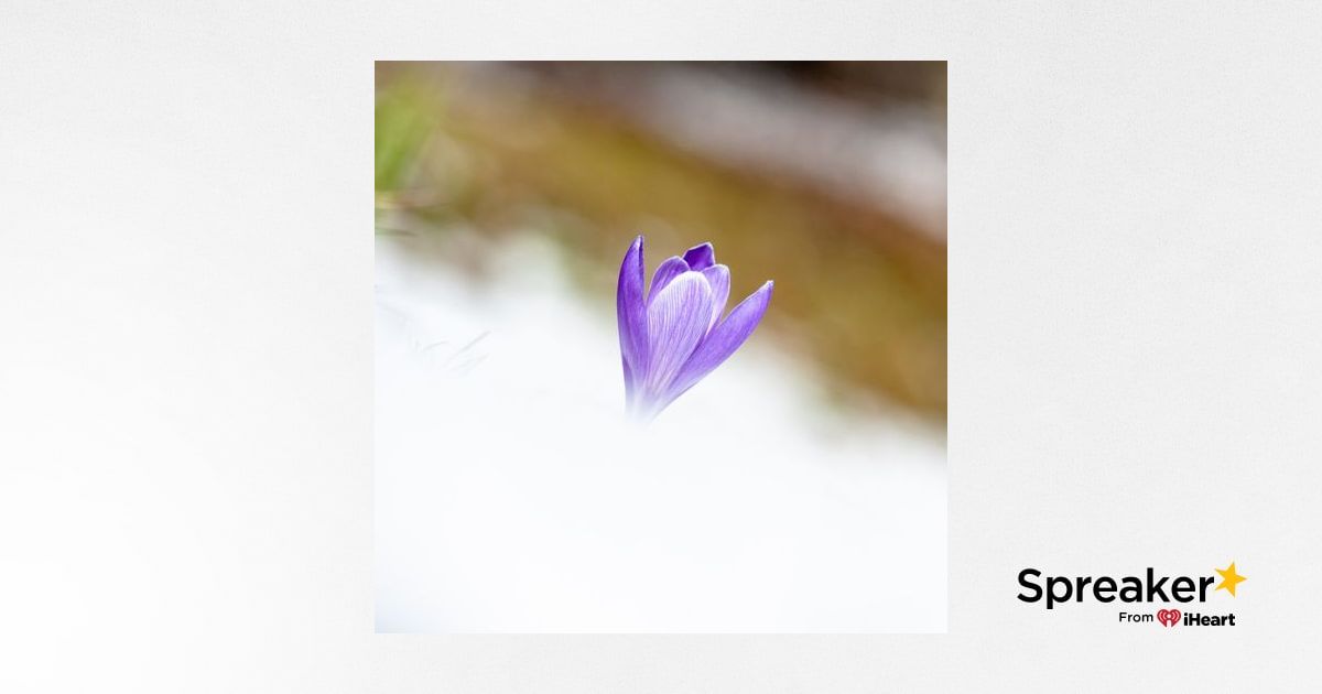 Cosa sta succedendo? La natura si è svegliata in anticipo!