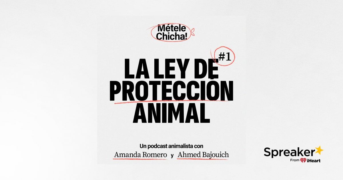 Métele chicha - A la Ley de Protección Animal