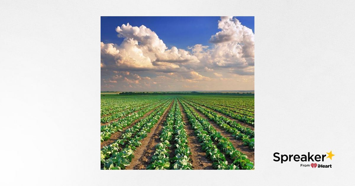 Los Agroquímicos En La Agricultura