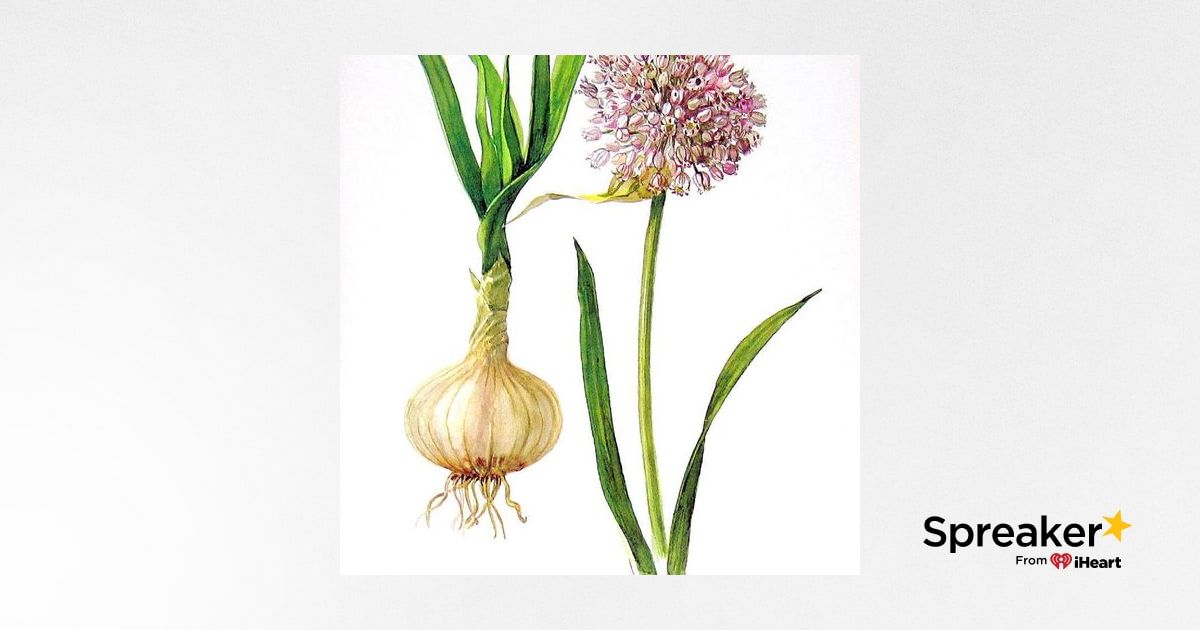 Show 62: Christian Herbal Medicine and Herbs for Animal Bites