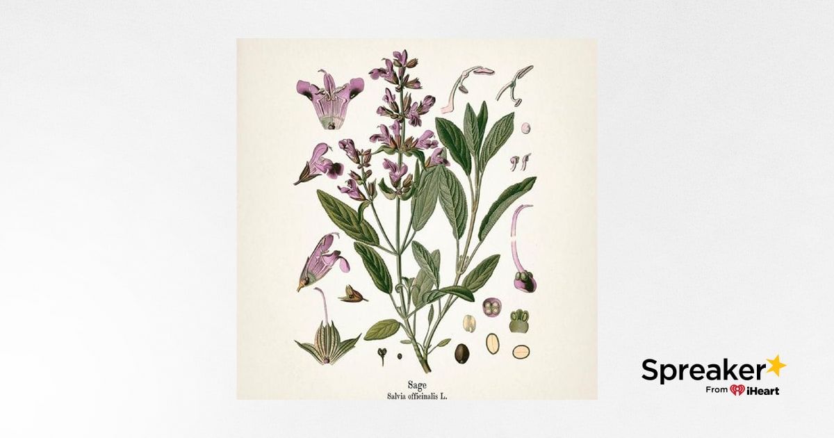Show 136: Sage, Remedies and Recipes