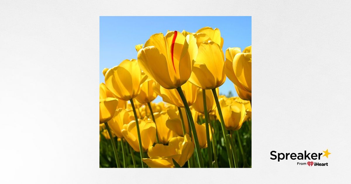 The Atomic Power Of Prayer Dr Cindy Trimm