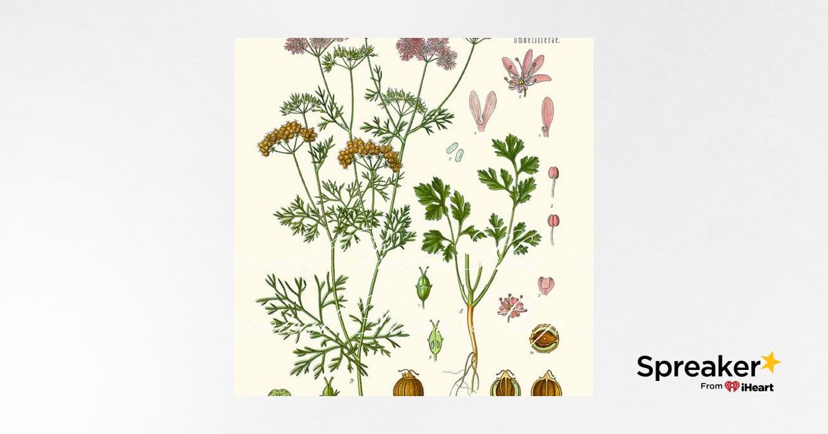 Show 105: Good Gravy and Medicinal Coriander