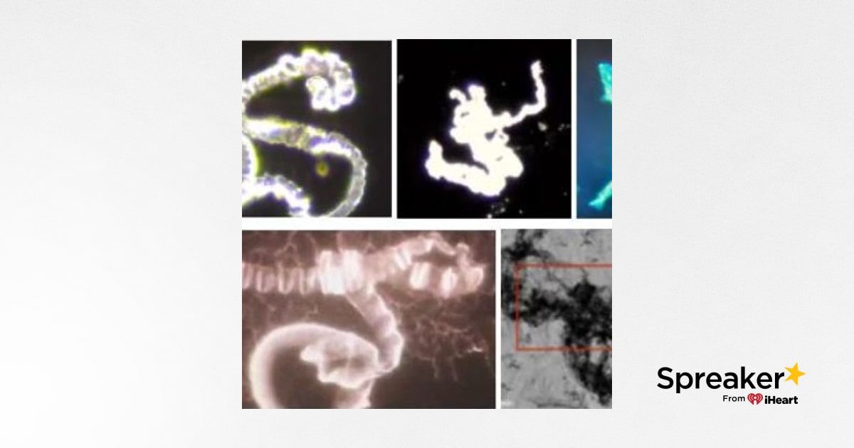 What is in the so-called COVID-19 “vaccines”? Evidence of a Global Crime Against Humanity - Video Presentation