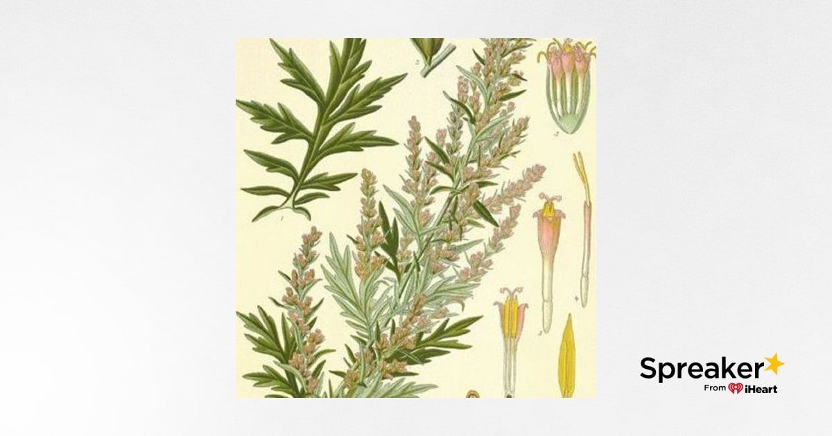 Show 127: Mugwort and Spring Veggies