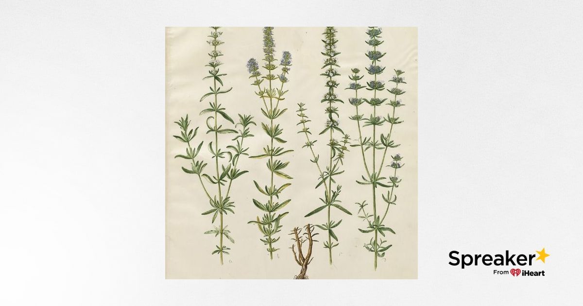Show 114: New Year, Hyssop and Transhumanism