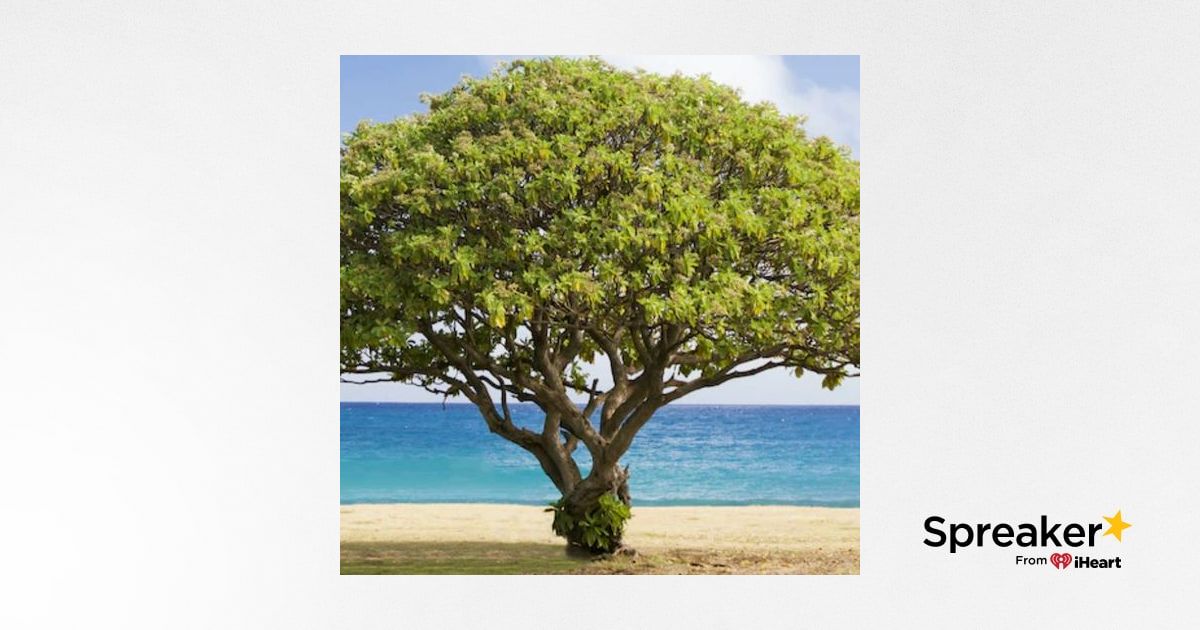 Interview with Paul Hellier, July 22, 2025, Part 1