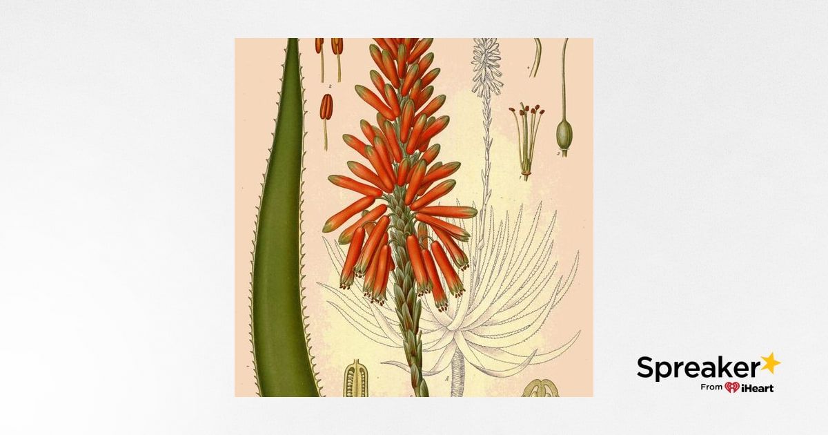 Show 77:  Easter and Aloe