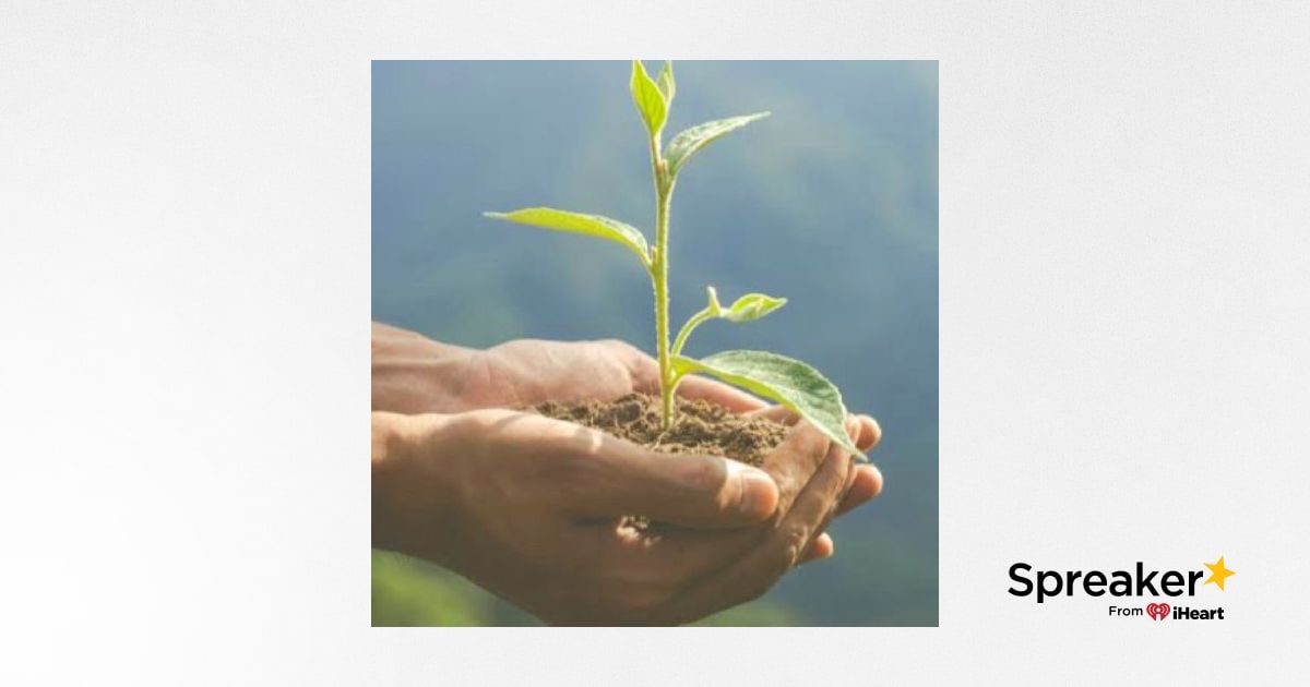 El Cuidado Del Medio Ambiente Y La Salud