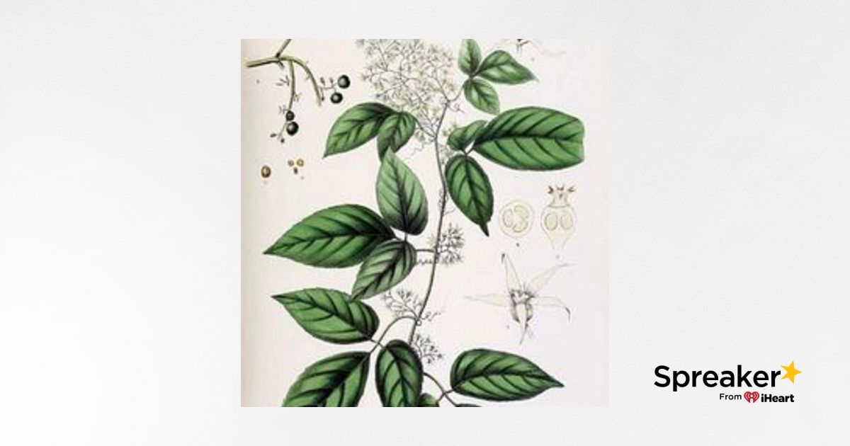 Show 107: All About Adaptogens, an interview with Brandon Gilbert