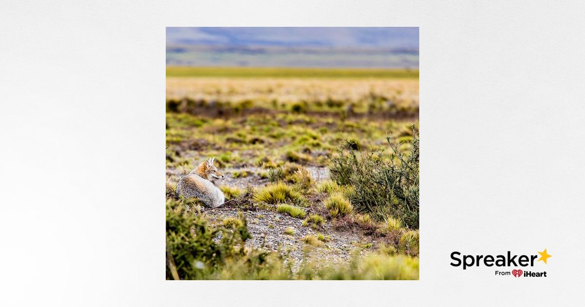 Parliamo del viaggio in Patagonia.