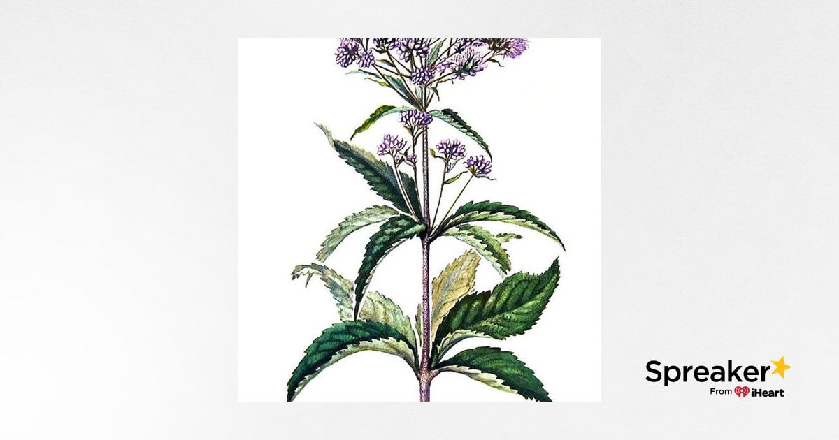 Show 65: Herbs for Fevers