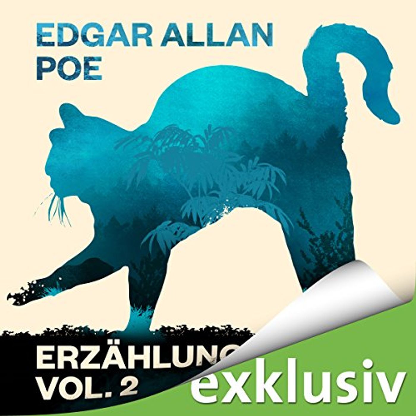 Edgar Allan Poe: Erzählungen 2 Hörbuch von Edgar Allan Poe episode artwork
