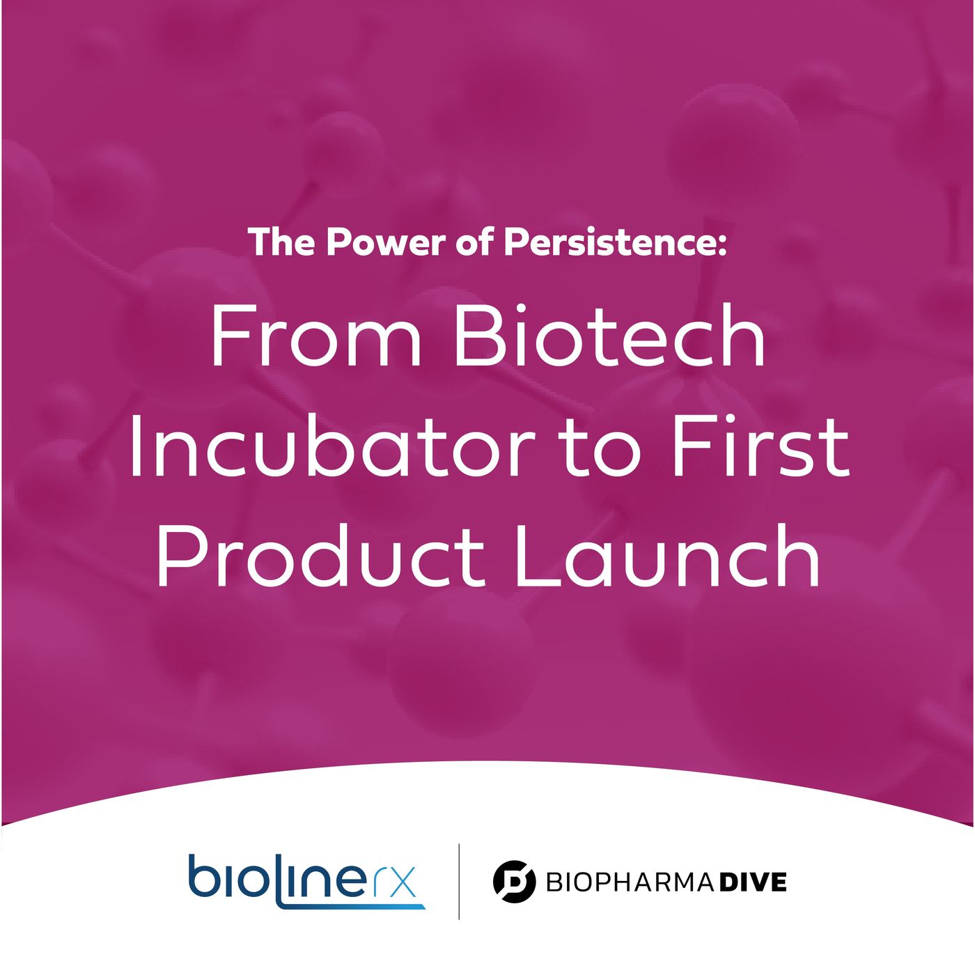 The Power of Persistence: From Biotech Incubator to First Product Launch
