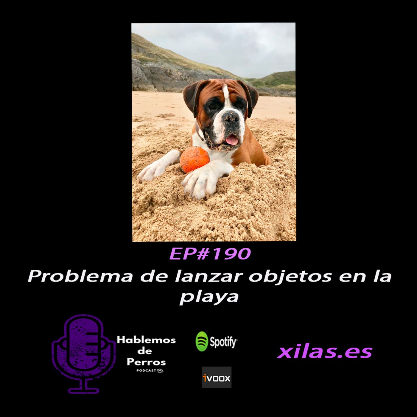 Hablemos de perros