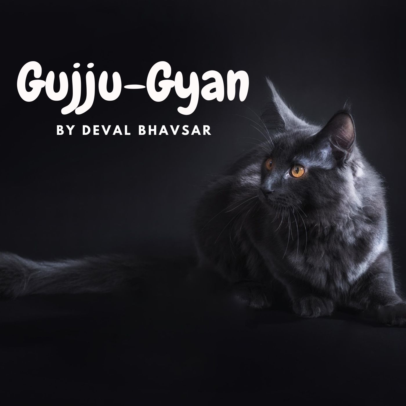 Gujju-Gyan