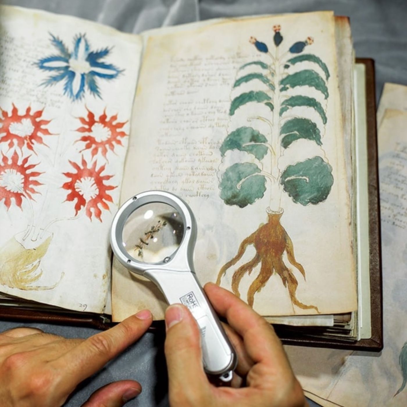 Al filo de lo real nº.477: El sorprendente Manuscrito Voynich episode artwork
