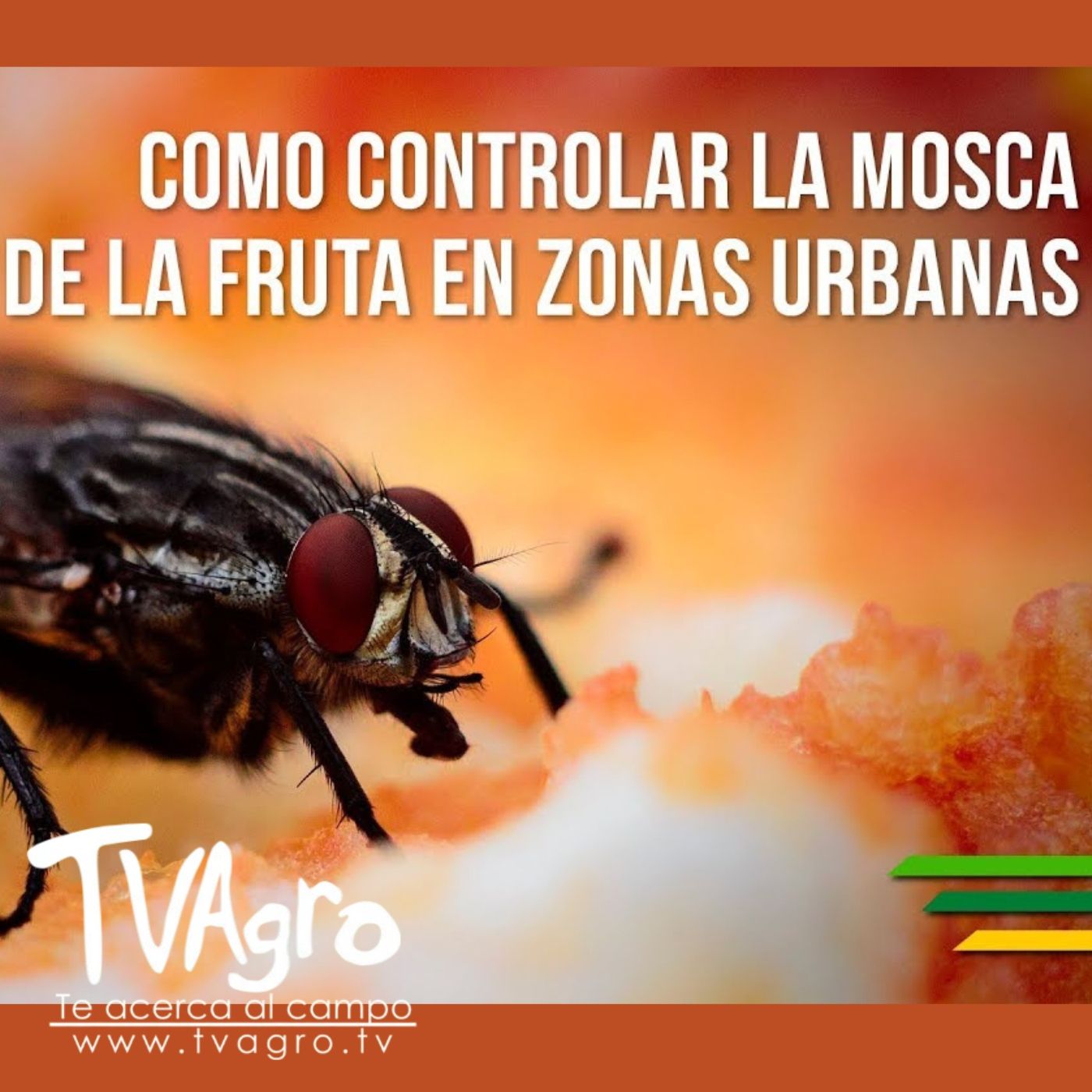 TV AGRO
