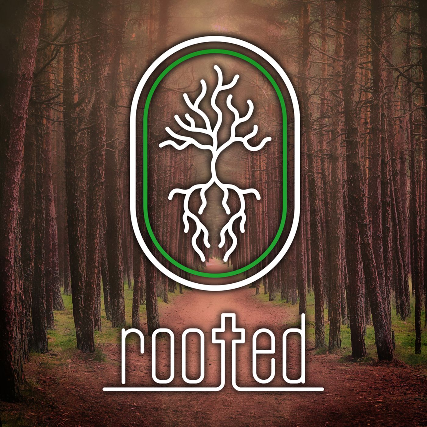 Rooted