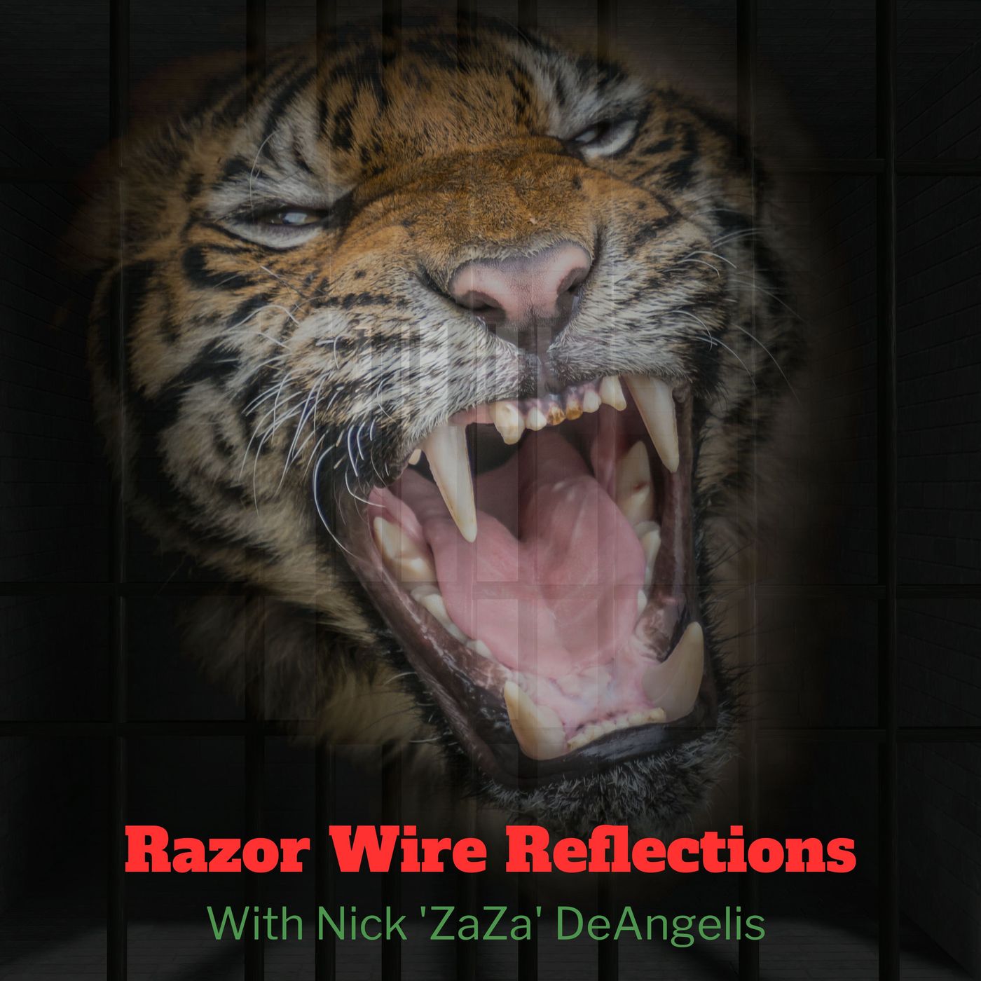 Razor Wire Reflections cover art