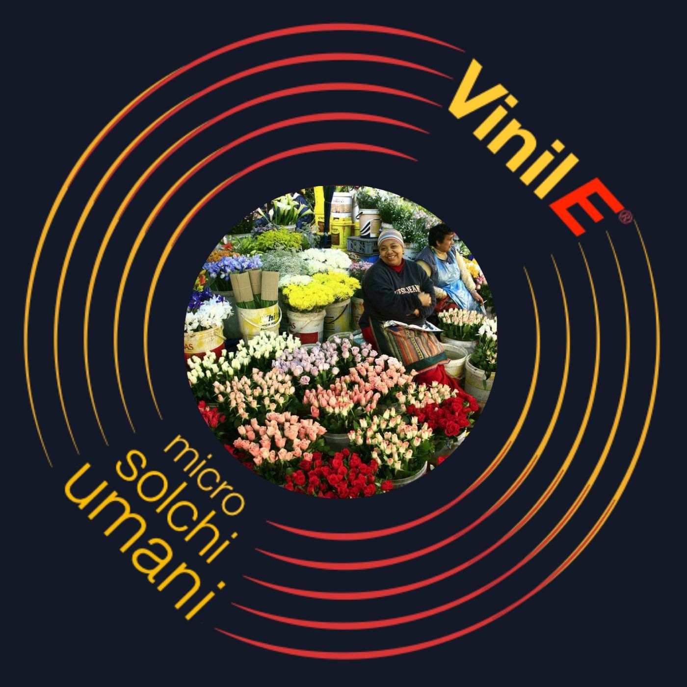 VinilE