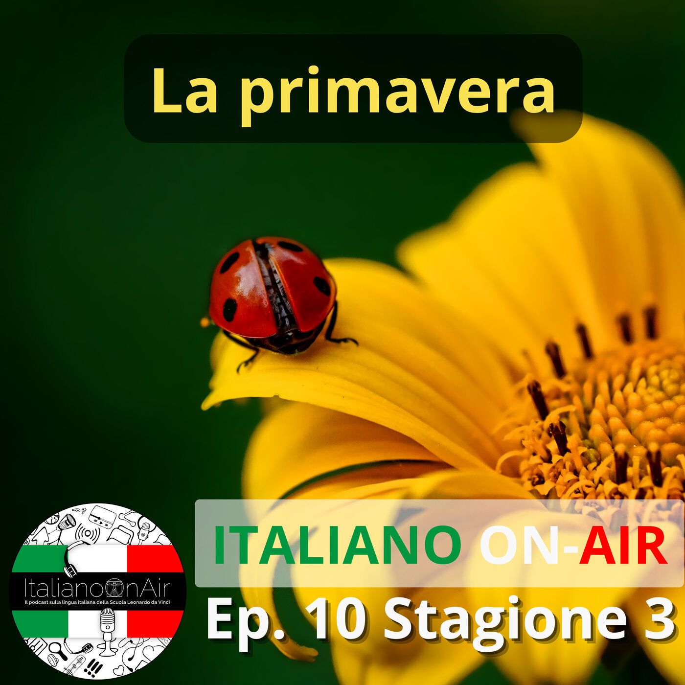 Italiano ON-Air
