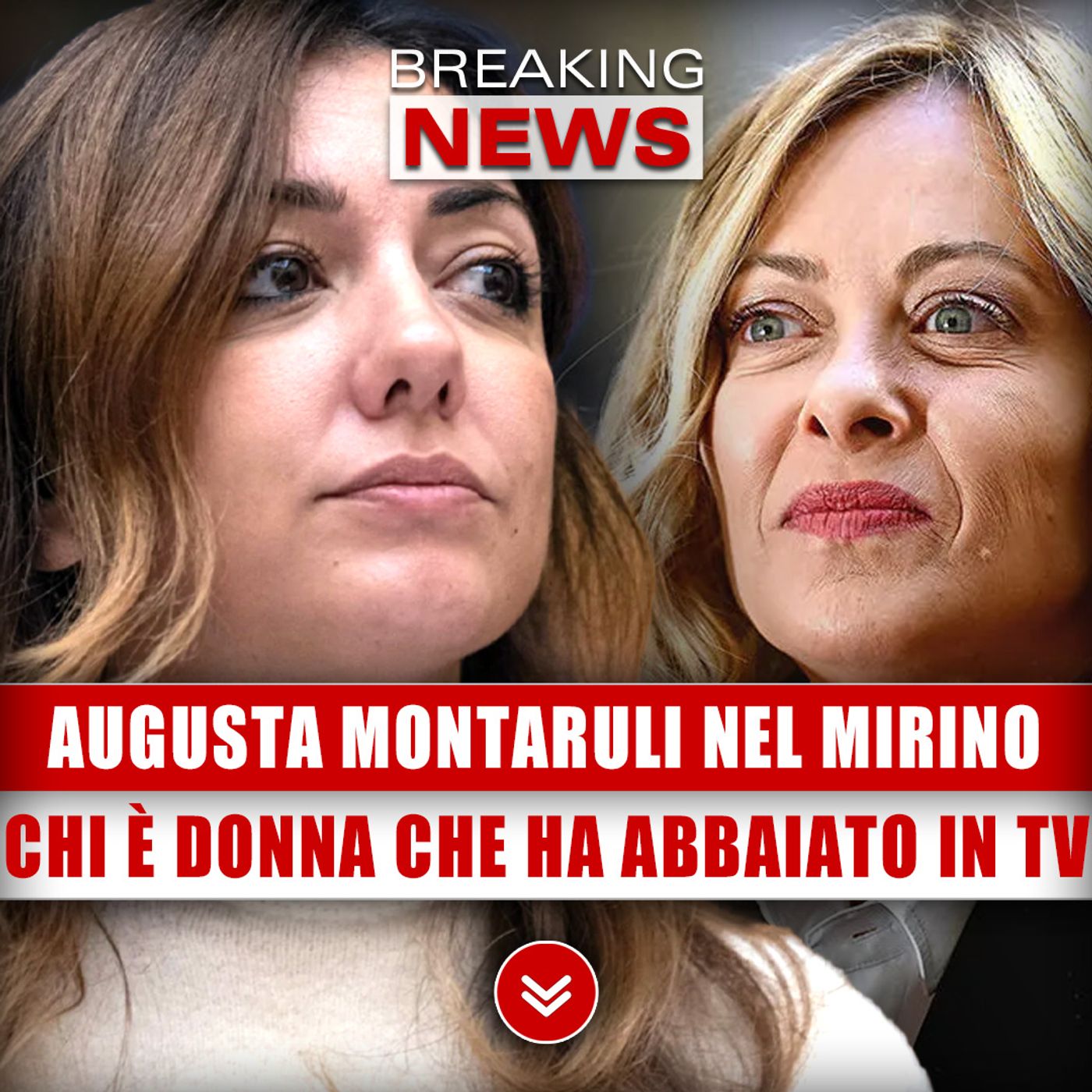 Augusta Montaruli Nel Mirino: Chi È La Donna Che Ha Abbaiato In Diretta Tv!