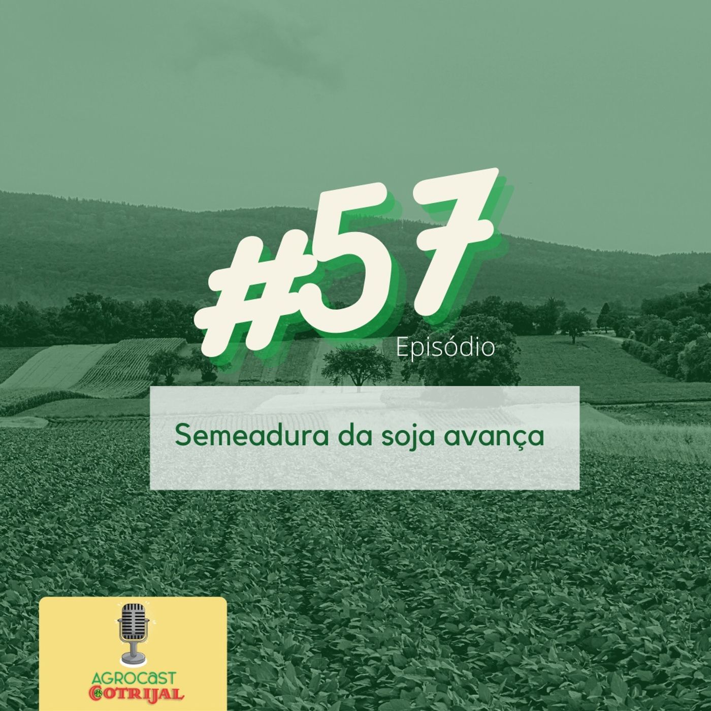 AgroCast Cotrijal