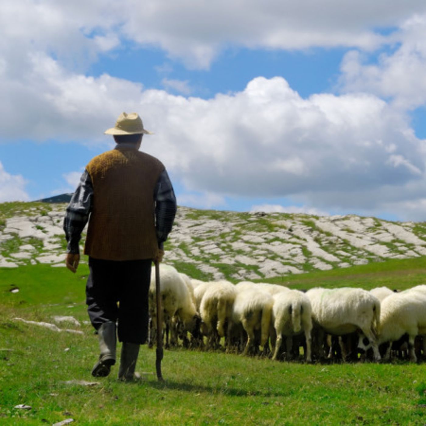 “My Shepherd and My Flock,” from John 10:1-11 episode artwork