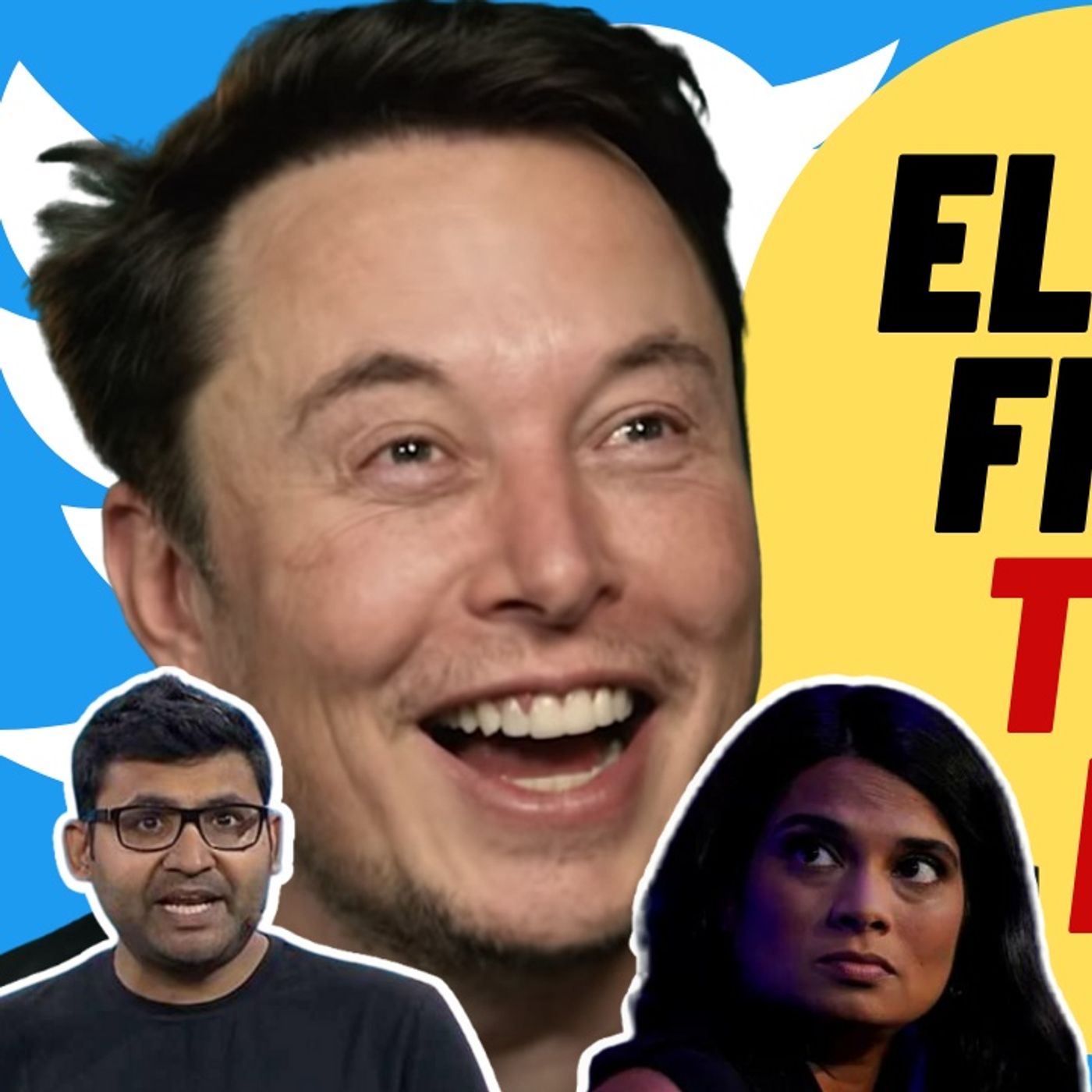 ELON Bought Twitter, FIRES Top Executives