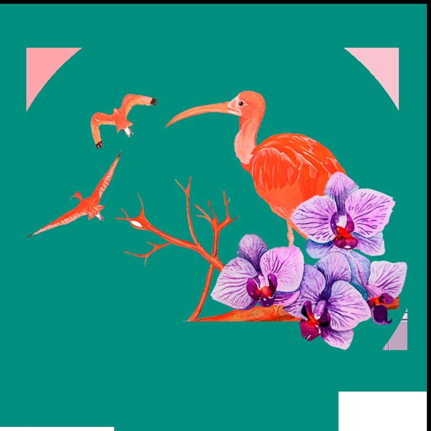 LA LUCHA TIENE ROSTRO DE MUJER