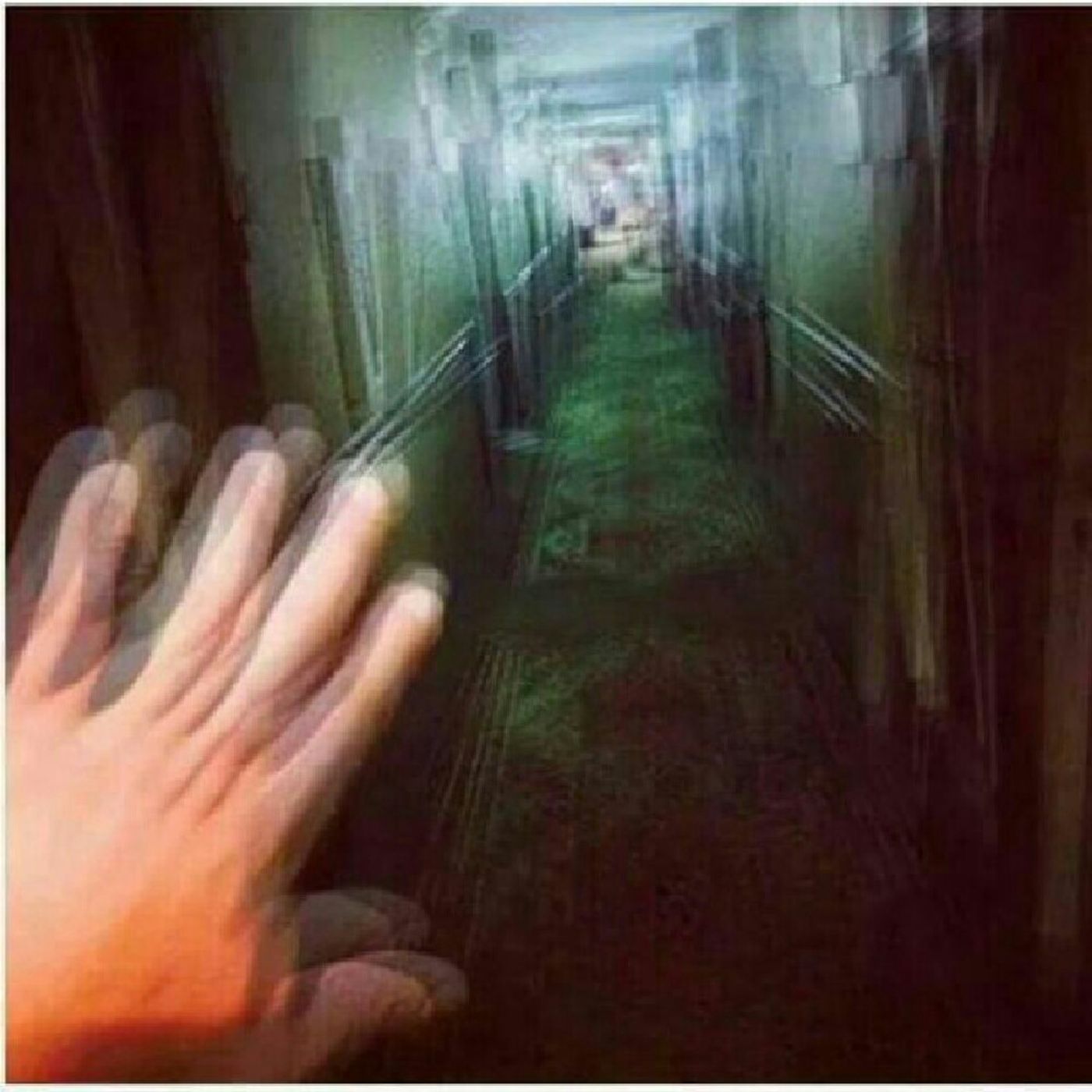 Daniela Mercado Psiquica