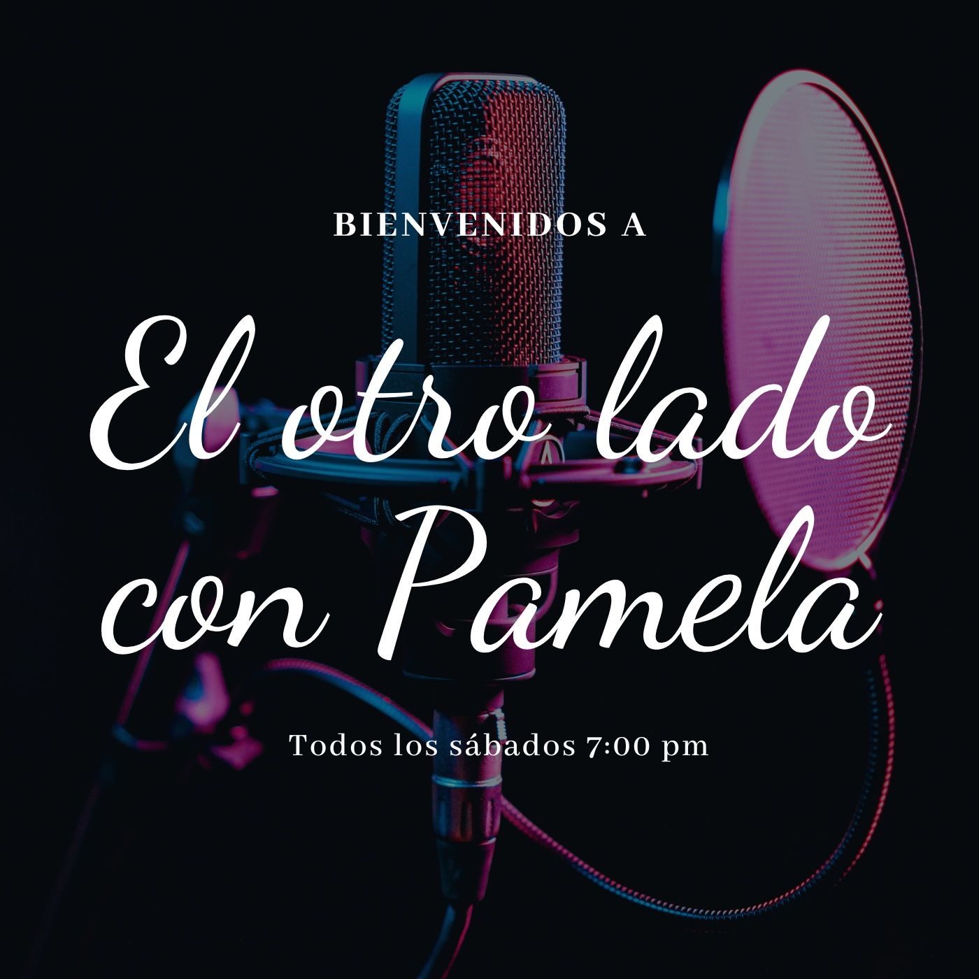 El otro lado con Pamela