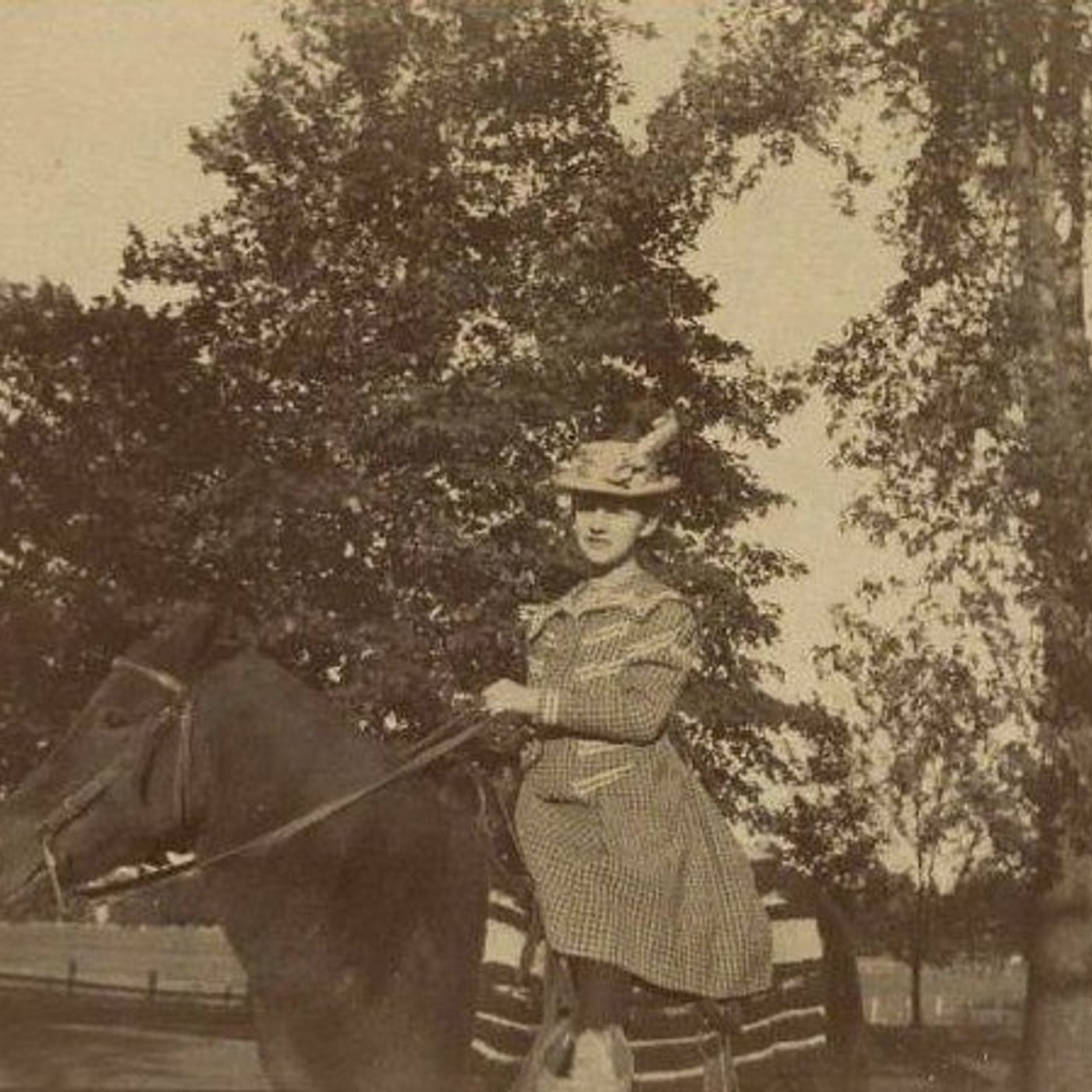 The barbed wire heiress and the interpreter: Learn about 1907 DeKalb engagement at upcoming lecture episode artwork