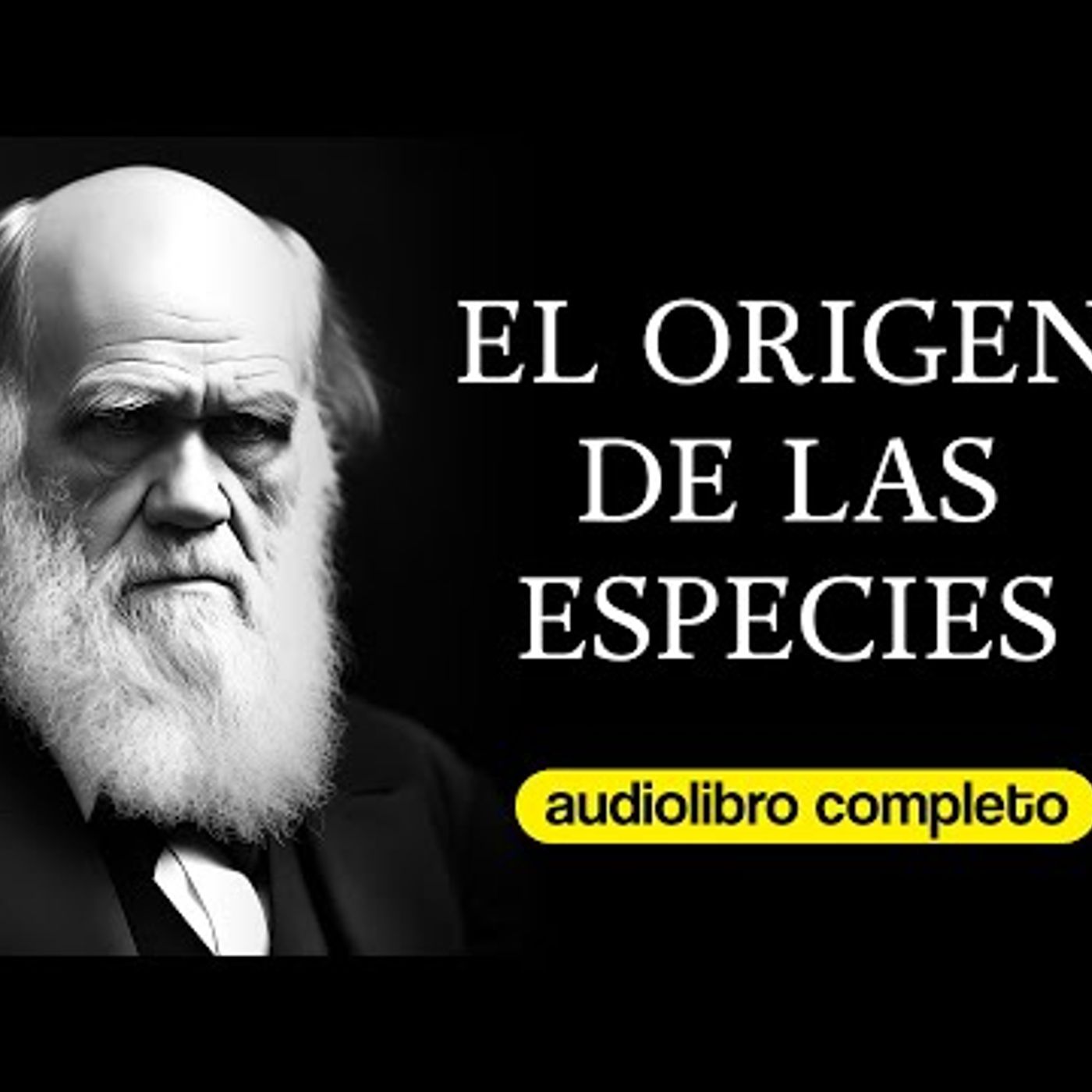 Aubiblio Narraciones