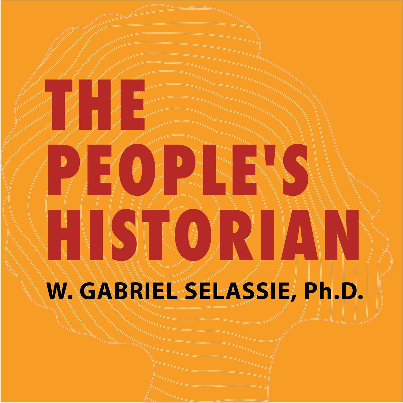 The People's Historian - podcast cover