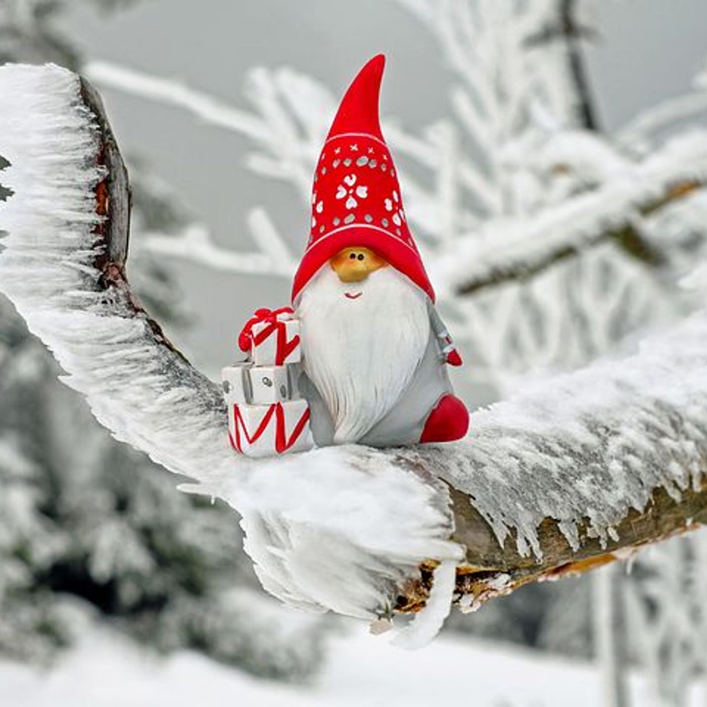 Natale in...