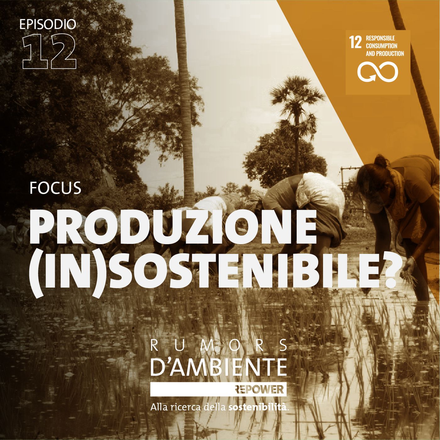 Focus – Produzione (in)sostenibile? episode artwork