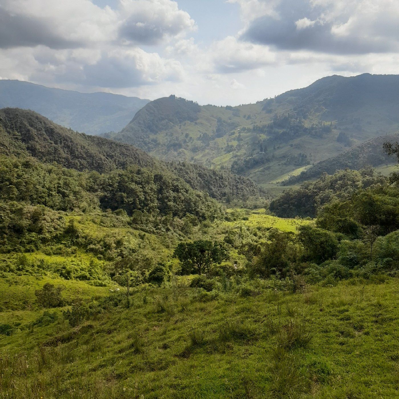 El arte de educar con compromiso