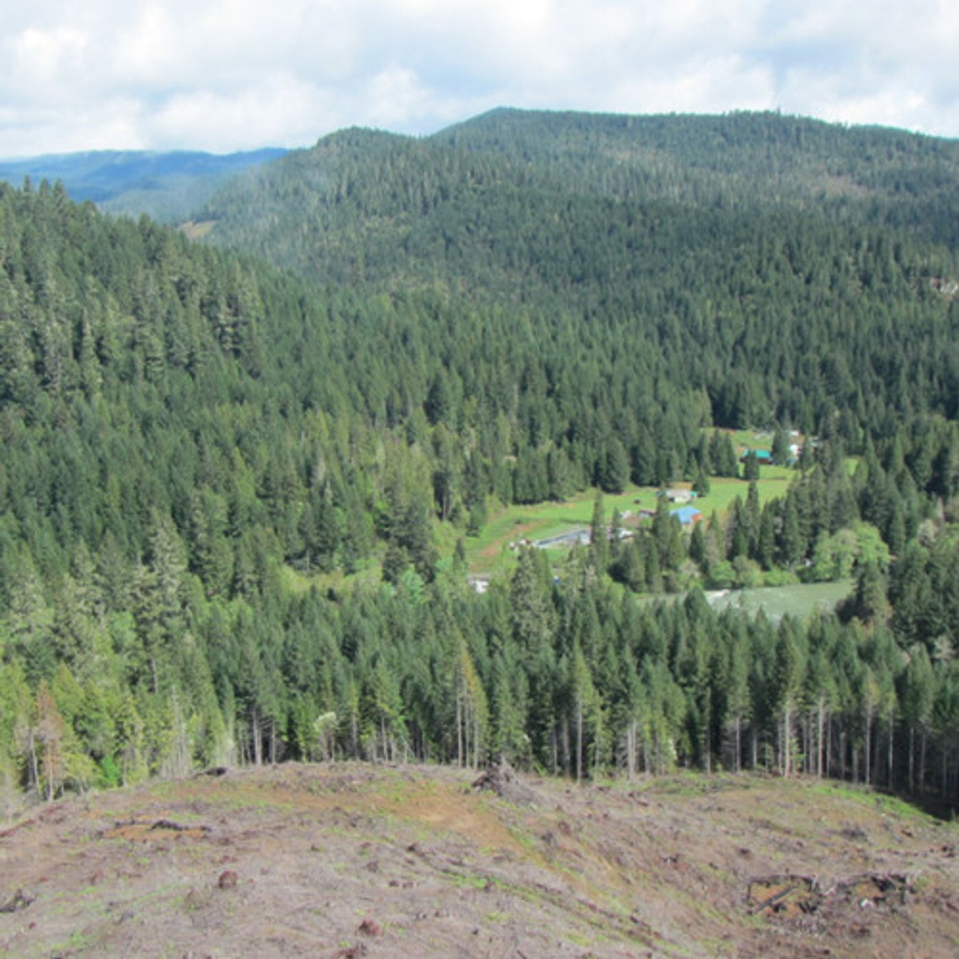 How One Complaint Reveals The Flaws In Oregon's Pesticide Regulation episode artwork