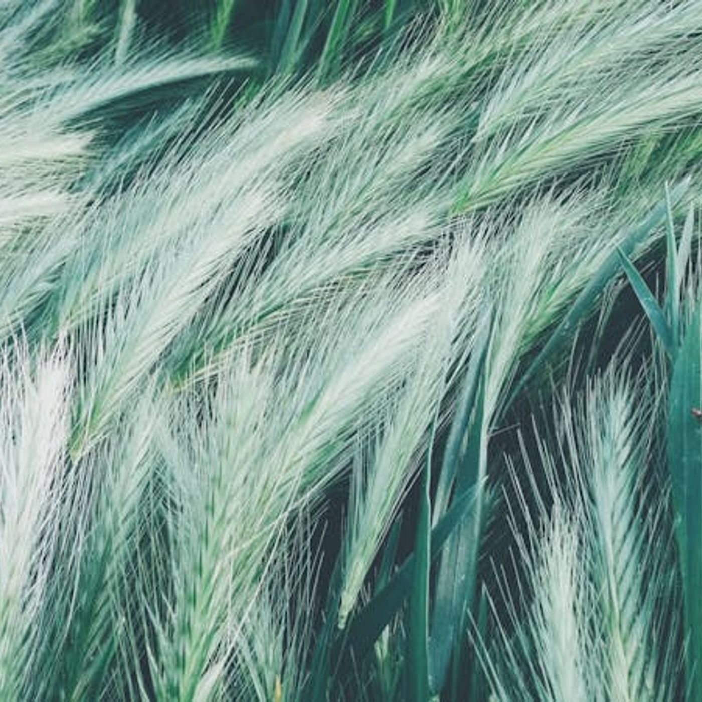 How Do I Know If the Holy Spirit Is in Me?