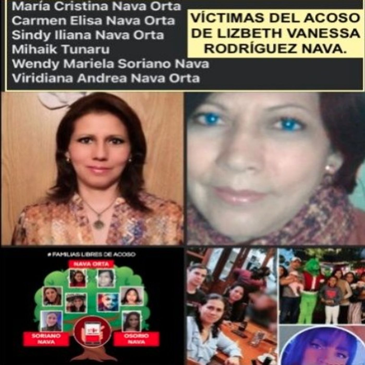 Acosada Maria Cristina Nava Orta, Viridiana Andrea Nava Orta, Wendy Mariela Soriano Nava y familia Nava Orta, Soriano Nava, Osorio Nava. episode artwork